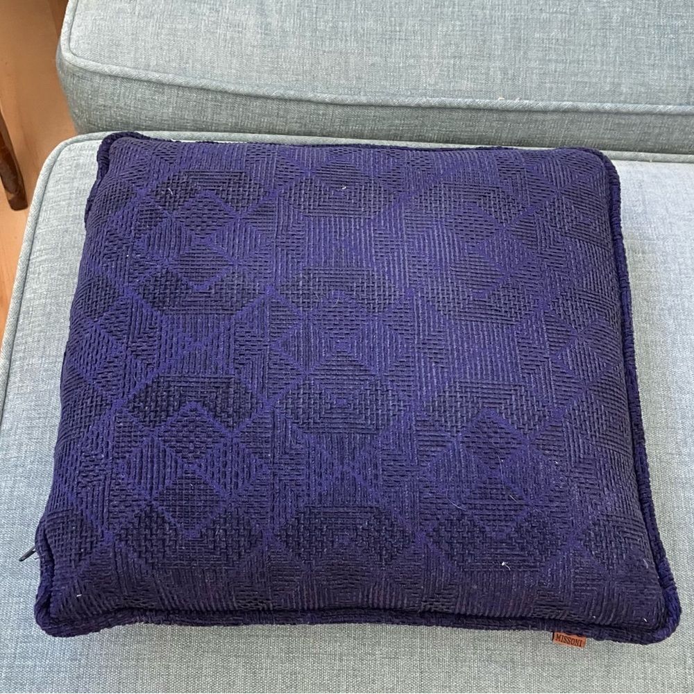Gently Used Blue Missoni Accent Pillow